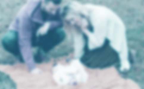 ��(xi��)�o�ְ֋����ĸ��x��