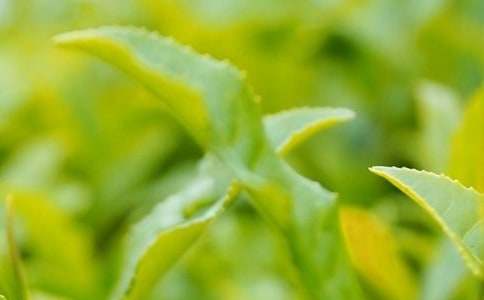 ���~��ͬ����