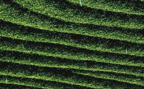 ���~��ُ(g��u)��ͬ���A��15ƪ��