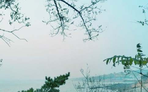 ���L(f��ng)�Єӹ�������12ƪ