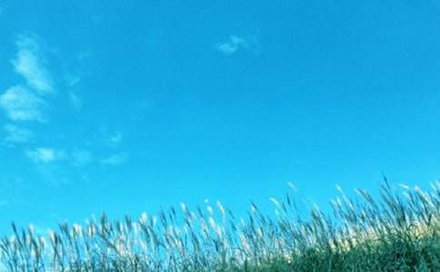 ���L�Є���r���Y