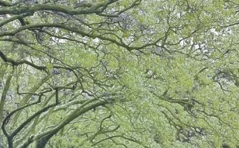 �����L(f��ng)�Є�(d��ng)�������Y(ji��)8ƪ