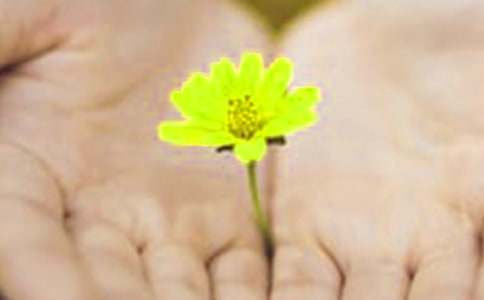 ���e�µ�Ǹ�źϼ���ƪ