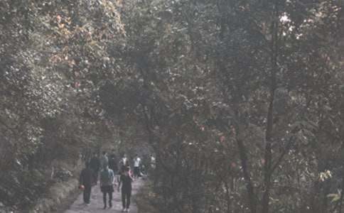 ��ɽͽ�����(d��ng)�߄���