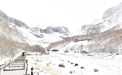 �������������Y(ji��) 14ƪ