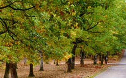 �L(f��ng)���@�ֵČ�(sh��)��(x��)��(b��o)��