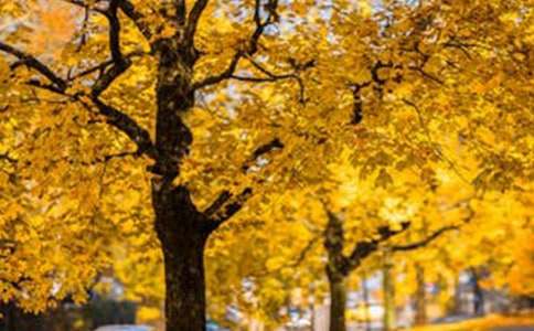 �L����ُ�I��ͬ