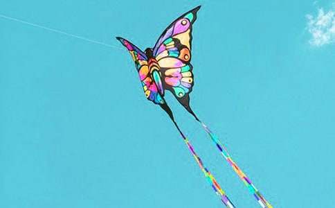 У�@�L(f��ng)�~��(ji��)�߄���