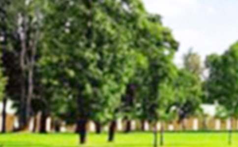 ���@��(g��)�˹������Y(ji��)