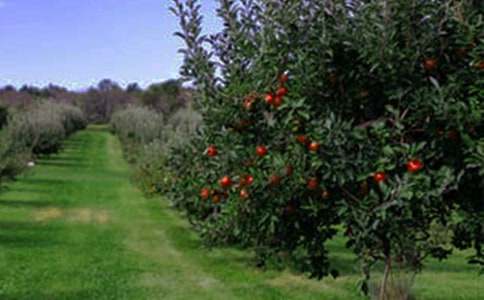 ���@�D(zhu��n)׌��ͬ��Ʒ[15ƪ]