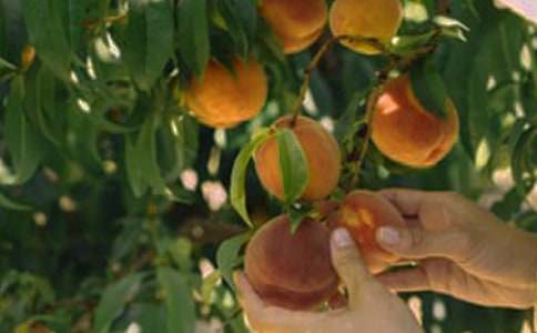 ���@�D(zhu��n)׌��ͬ(���x15ƪ)