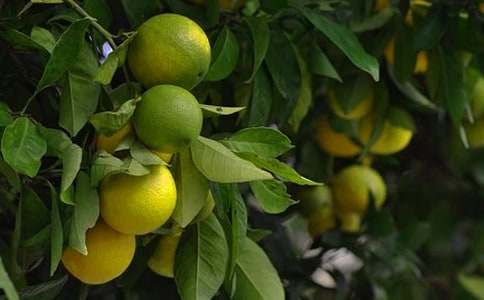 ���@�D(zhu��n)׌��ͬ����