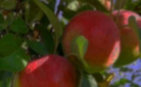 ���@������ͬ