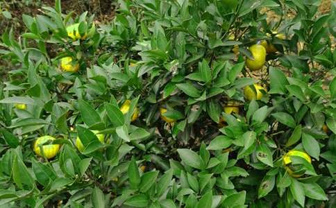 ���U���@��ͬ����