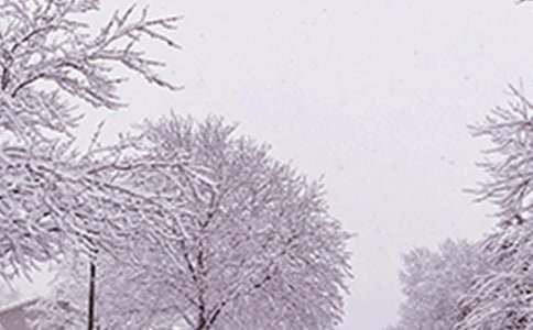 [���x]�����������������Y(ji��)