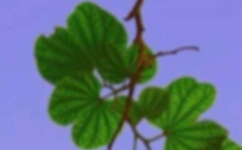 ���C����(w��)�f(xi��)��(hu��)�W(xu��)�ڹ������Y(ji��)