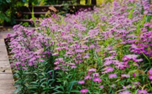 (li��n)�Ż��@�e����ס��ͬ