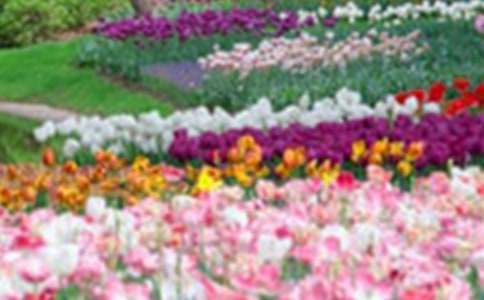 ���@�󷿳����ͬ��