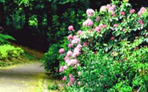 ������ס���@�e�������ͬ