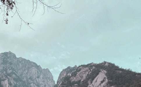 �SɽС�W(xu��)�̌W(xu��)�������Y(ji��)