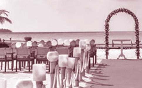 ��Y��Ո(q��ng)����(j��ng)��[15ƪ]