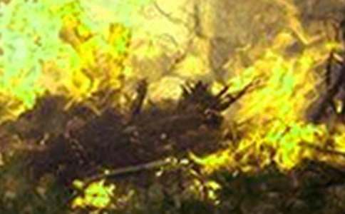 �_չ�������(z��i)���ع������Y(ji��)