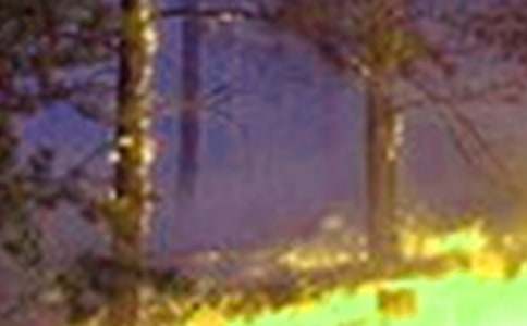 2022�������(z��i)���ع������Y(ji��)