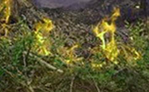 ���������(z��i)���ع������Y(ji��)5ƪ[��(y��u)��]