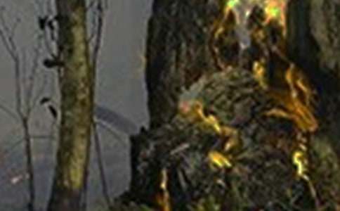 �������(z��i)���ع������Y(ji��)[��(y��u)�x]