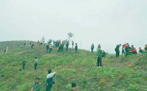 [ͨ��]������Ո(q��ng)��