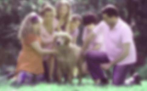 С�W(xu��)��ͥ�����������Y(ji��)