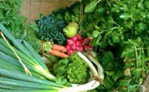 �������M���Z��4ƪ�����T��