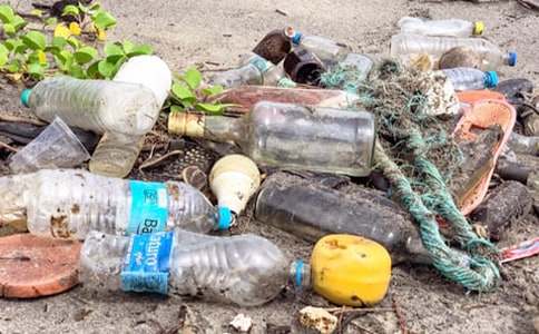 �y�������zӑ��(sh��)15ƪ