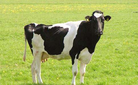 ��ţ�xُ��ͬ����