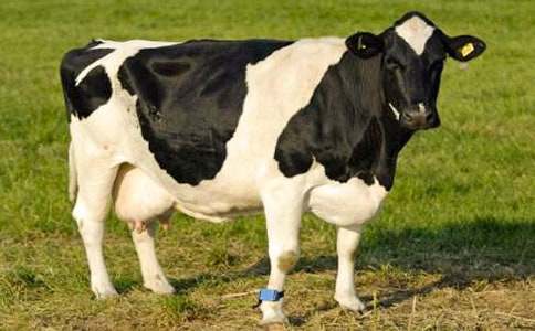 �ؑc����ţ����ӆُ(g��u)��ͬ