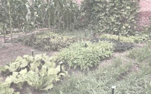 �r(n��ng)����N��ُ(g��u)�N(xi��o)��ͬ