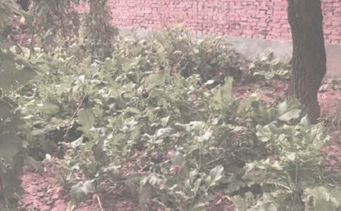 �r(n��ng)����N���I�u��ͬ