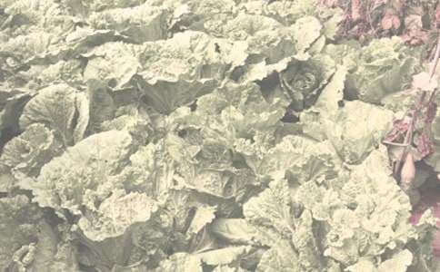 �P���r����N��ͬ�����\��6ƪ