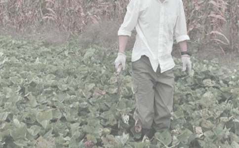 �r(n��ng)����N���I�u��ͬ15ƪ