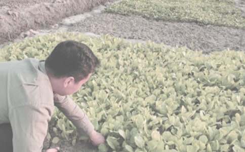 �r(n��ng)���r(n��ng)����ُ(g��u)�N(xi��o)��ͬ