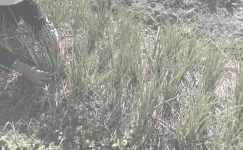 �r(n��ng)����N��ӆُ��ͬ����