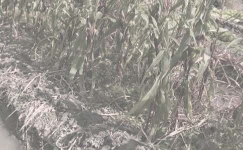 �r(n��ng)����N��ͬ�R��8ƪ