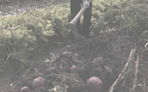 �r(n��ng)����N��ُ�N��ͬ[��(sh��)��2ƪ]