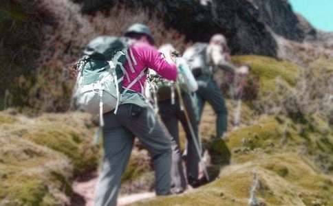 ��W(xu��)���M����ɽ�߄���