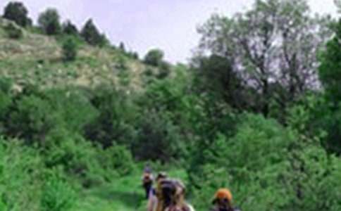 ��W����ɽ��Ӳ߄���