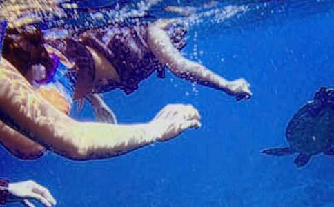 ���Ý�ˮ����ͬ����(11ƪ)