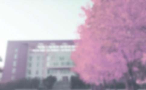 С�W�＾����Ҏ(gu��)������