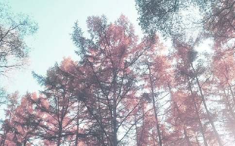 �＾С�W(xu��)�������Y(ji��)