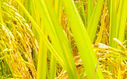 ���չ������Y(ji��)