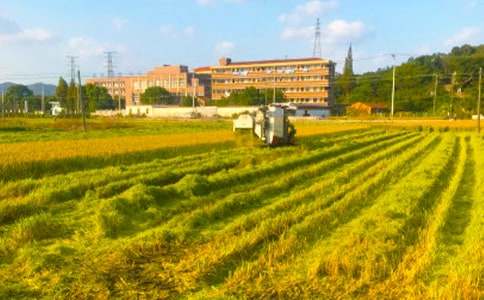 ���չ������Y(ji��)